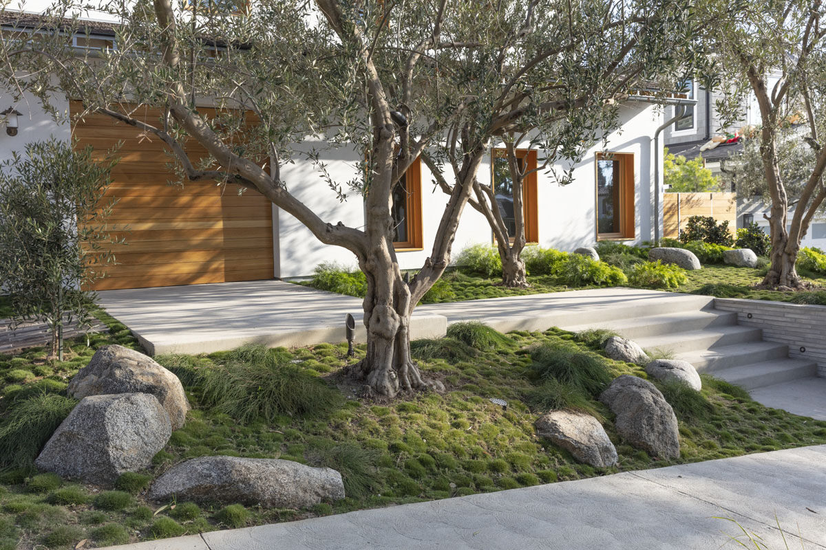 Landscape & Hardscape Design - Queensbury